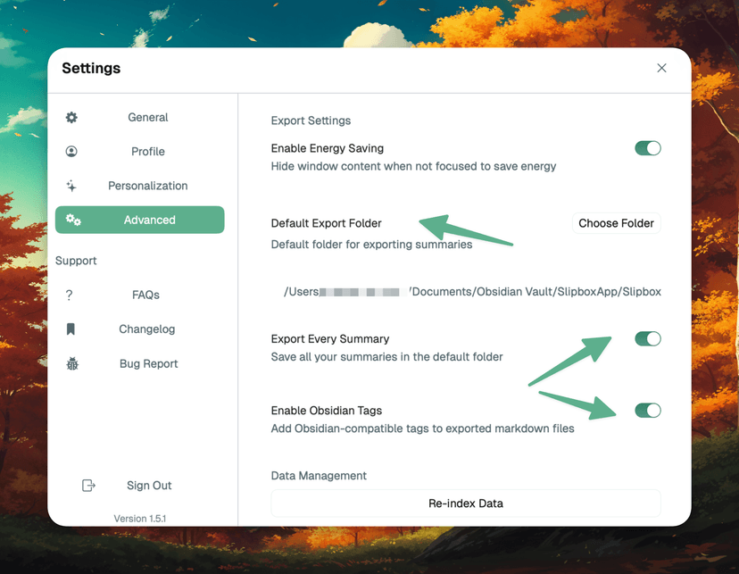 Setting up Obsidian Integration